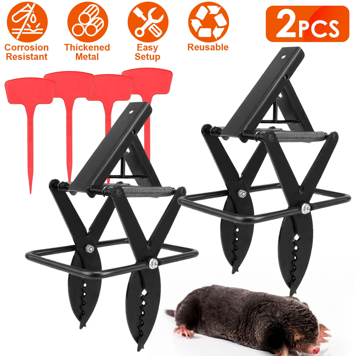 7499befacbce3b8aa00b3771aae88ded