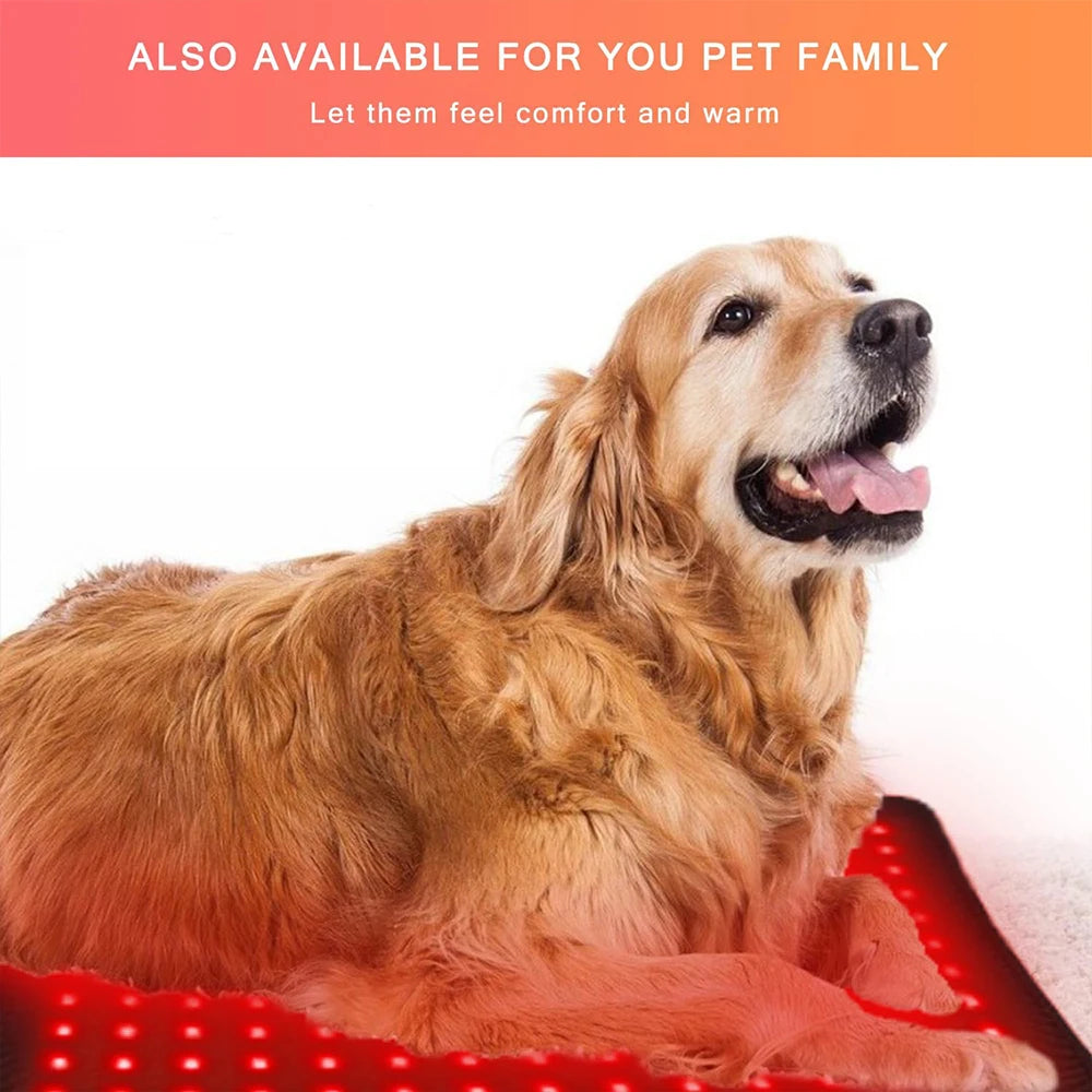 Red Light Therapy Device for Pain Relief Infrared Light Physiotherapy for Dogs Cats Pets Home Use Treatment