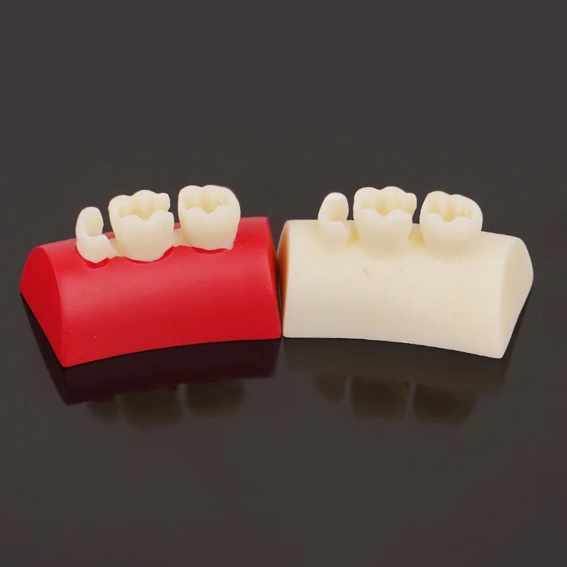 Dental Inlay Exercise Model Block Composite Resin Filling Practice Dentistry Oral Teeth Teaching Typodont Study Tool