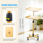 Heavy-Duty Adjustable Height Salon Cart with Large Aluminum Tray Mobile Service Trolley for Home Tattoo SPA
