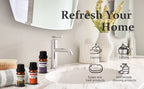 6Pcs/Set Pure Lemon Sweet Orange Eucalyptus Lavender Peppermint Rosemary Fragrance Massage Spa Aromatherapy Essential Oil Sets