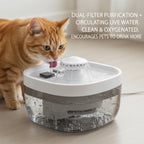 Pet Water Fountain 1.85Gal Large Capacity, Ultra-Quiet 30dB Cat Drinking Dispenser with 2 Filters, 5V USB Pump Auto Circulating, Anti-Dry Burn for Dogs Cats, White