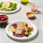 （out of stock）50-Pack 9-Inch Food-Grade Disposable Dinner Plates （out of stock）