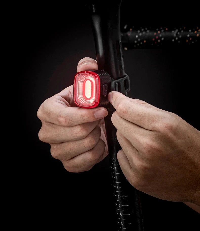 ROCKBROS Local Ship Bicycle Brake Light IPx6 Taillight Type-C Bike Tail Rear Light Auto LED Riding Warning Safe Cycling Light