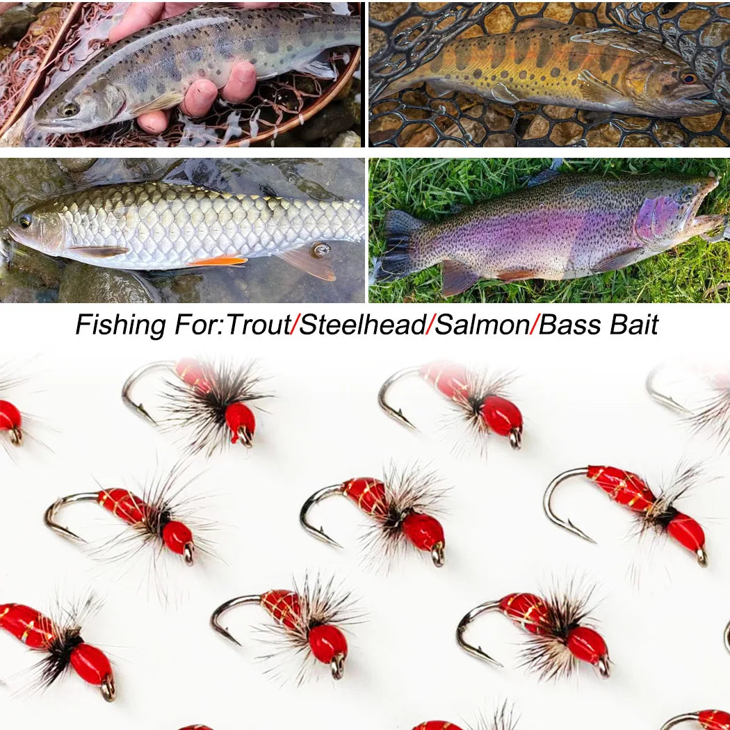 10Pcs-Dry Flies Artificial Bait Fly Fishing Flies Red Griffith Ant Nymph Bait for Trout/carp Fishing Artificial (with Flies Box)