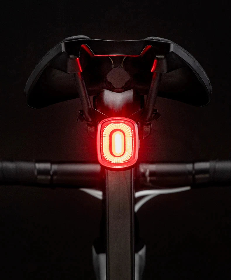 ROCKBROS Local Ship Bicycle Brake Light IPx6 Taillight Type-C Bike Tail Rear Light Auto LED Riding Warning Safe Cycling Light