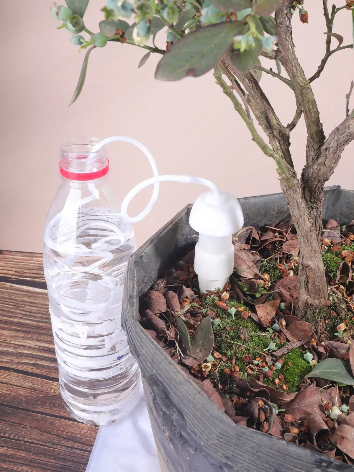2PCS  Automatic Self Watering Spikes Ceramic Drip Irrigation Device Indoor Outdoor Potted Plants Flower Waterer Gardening Tool