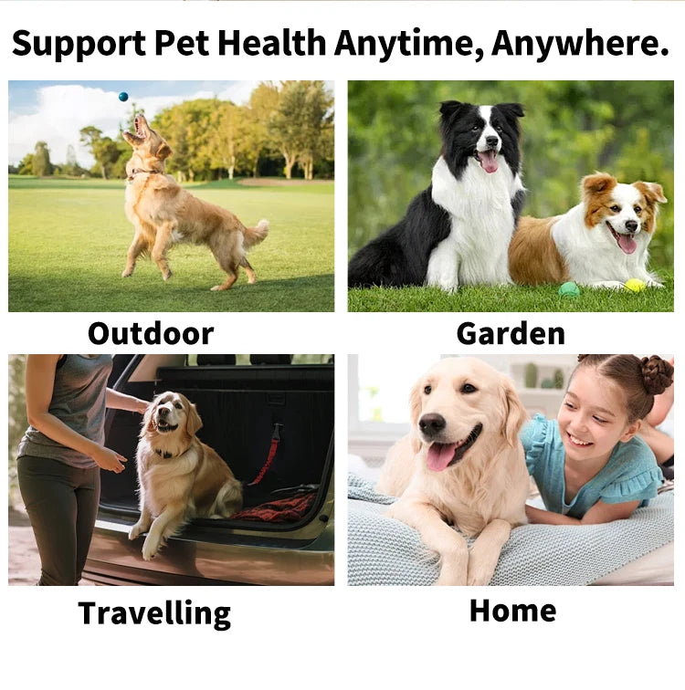 Pet supplies, pet unwashed gloves, cats, dogs, pet cleaning wipes, gloves that can be licked
