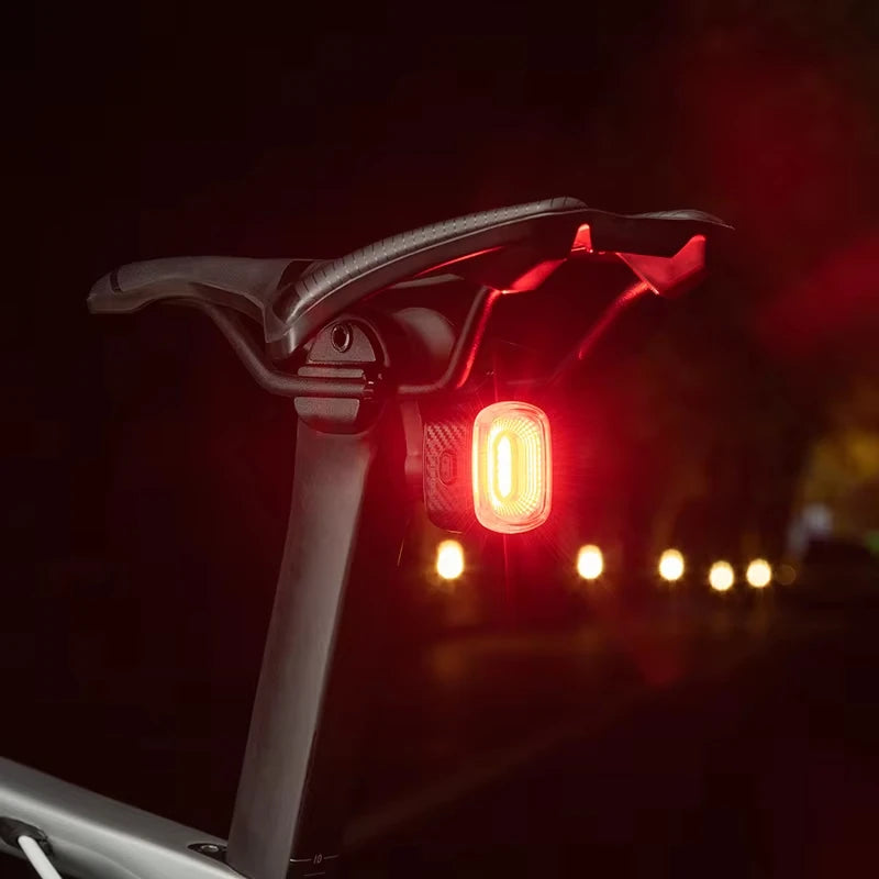 ROCKBROS Local Ship Bicycle Brake Light IPx6 Taillight Type-C Bike Tail Rear Light Auto LED Riding Warning Safe Cycling Light