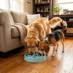 Slow Feeder Dog Bowl - Non-Slip Interactive Maze Bowl for Dogs & Cats, Prevents Bloat & Choking, Healthy Eating Design