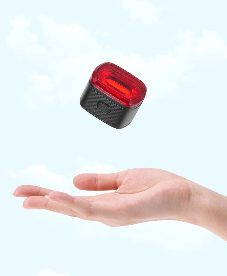 ROCKBROS Local Ship Bicycle Brake Light IPx6 Taillight Type-C Bike Tail Rear Light Auto LED Riding Warning Safe Cycling Light