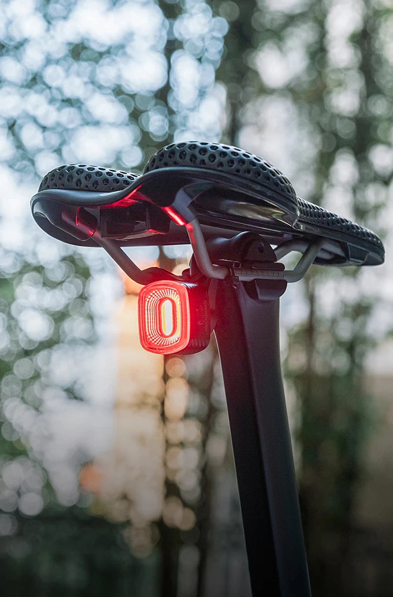 ROCKBROS Local Ship Bicycle Brake Light IPx6 Taillight Type-C Bike Tail Rear Light Auto LED Riding Warning Safe Cycling Light