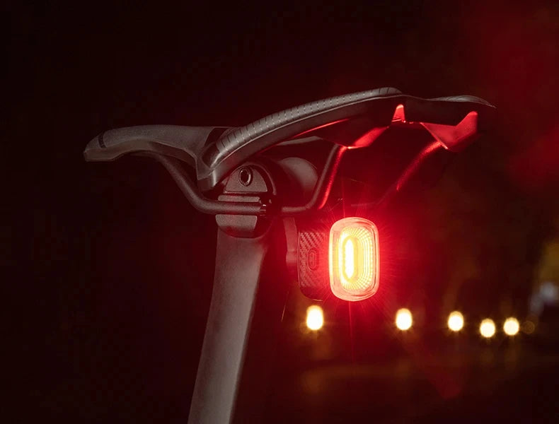 ROCKBROS Local Ship Bicycle Brake Light IPx6 Taillight Type-C Bike Tail Rear Light Auto LED Riding Warning Safe Cycling Light