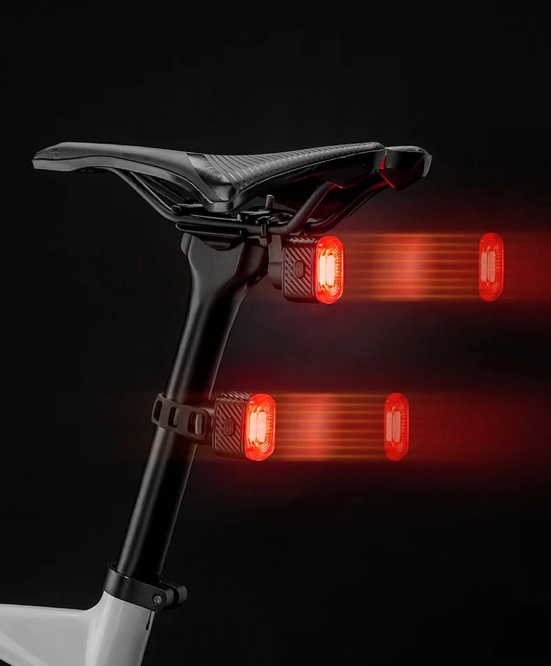 ROCKBROS Local Ship Bicycle Brake Light IPx6 Taillight Type-C Bike Tail Rear Light Auto LED Riding Warning Safe Cycling Light