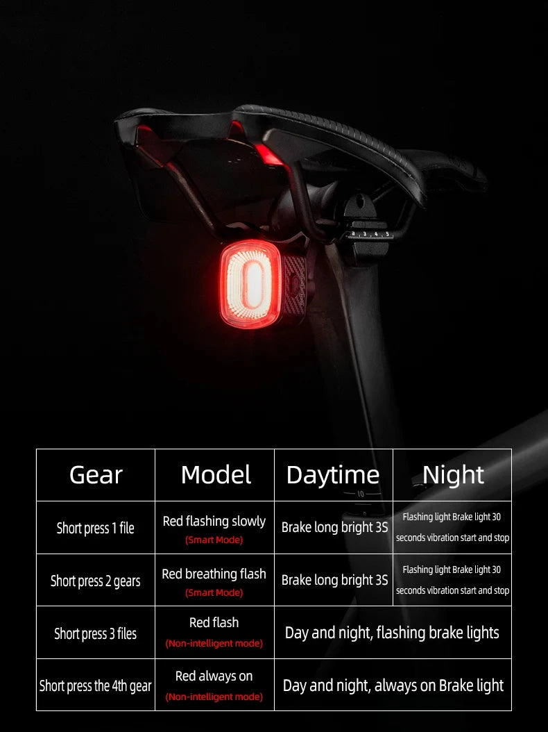ROCKBROS Local Ship Bicycle Brake Light IPx6 Taillight Type-C Bike Tail Rear Light Auto LED Riding Warning Safe Cycling Light