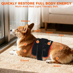 Red Light Therapy Device for Pain Relief Infrared Light Physiotherapy for Dogs Cats Pets Home Use Treatment