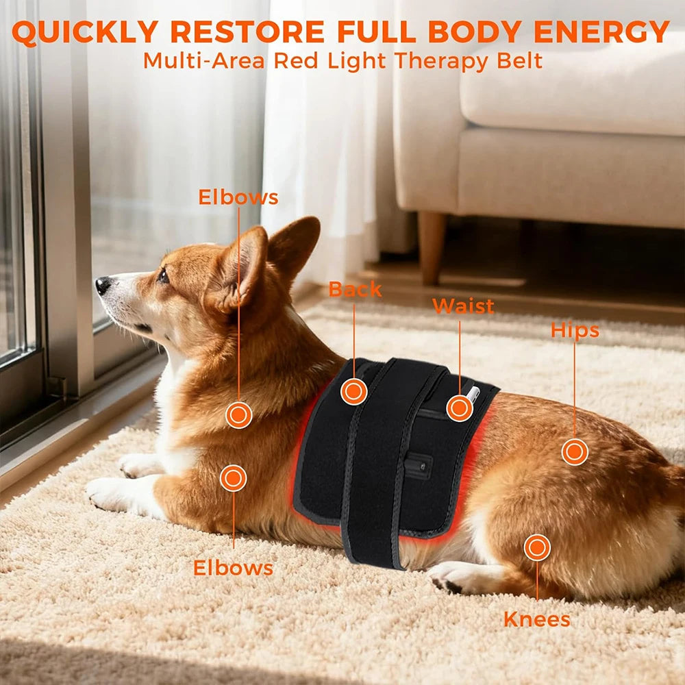 Red Light Therapy Device for Pain Relief Infrared Light Physiotherapy for Dogs Cats Pets Home Use Treatment