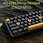 ATTACK SHARK X65 HE Hall Effect Keyboard, 8Khz Polling 0.01mm Adjustable Trigger 0.125ms Latency, Hot-Swappable RGB Backlit