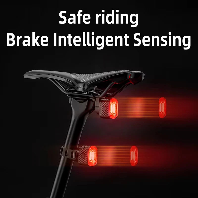 ROCKBROS Local Ship Bicycle Brake Light IPx6 Taillight Type-C Bike Tail Rear Light Auto LED Riding Warning Safe Cycling Light