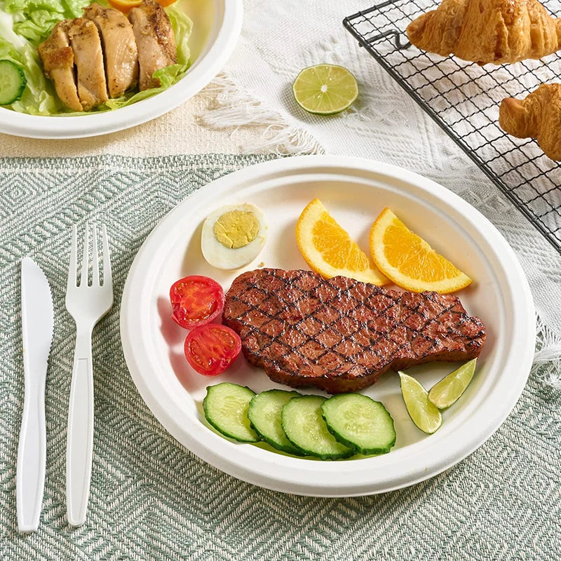 （out of stock）50-Pack 9-Inch Food-Grade Disposable Dinner Plates （out of stock）