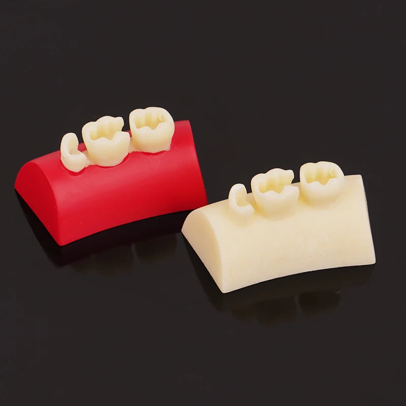 Dental Inlay Exercise Model Block Composite Resin Filling Practice Dentistry Oral Teeth Teaching Typodont Study Tool