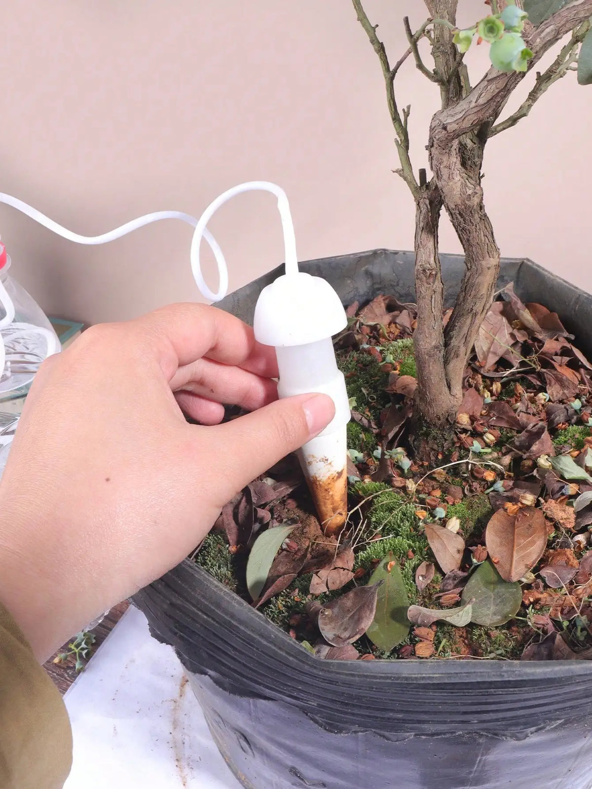 2PCS  Automatic Self Watering Spikes Ceramic Drip Irrigation Device Indoor Outdoor Potted Plants Flower Waterer Gardening Tool