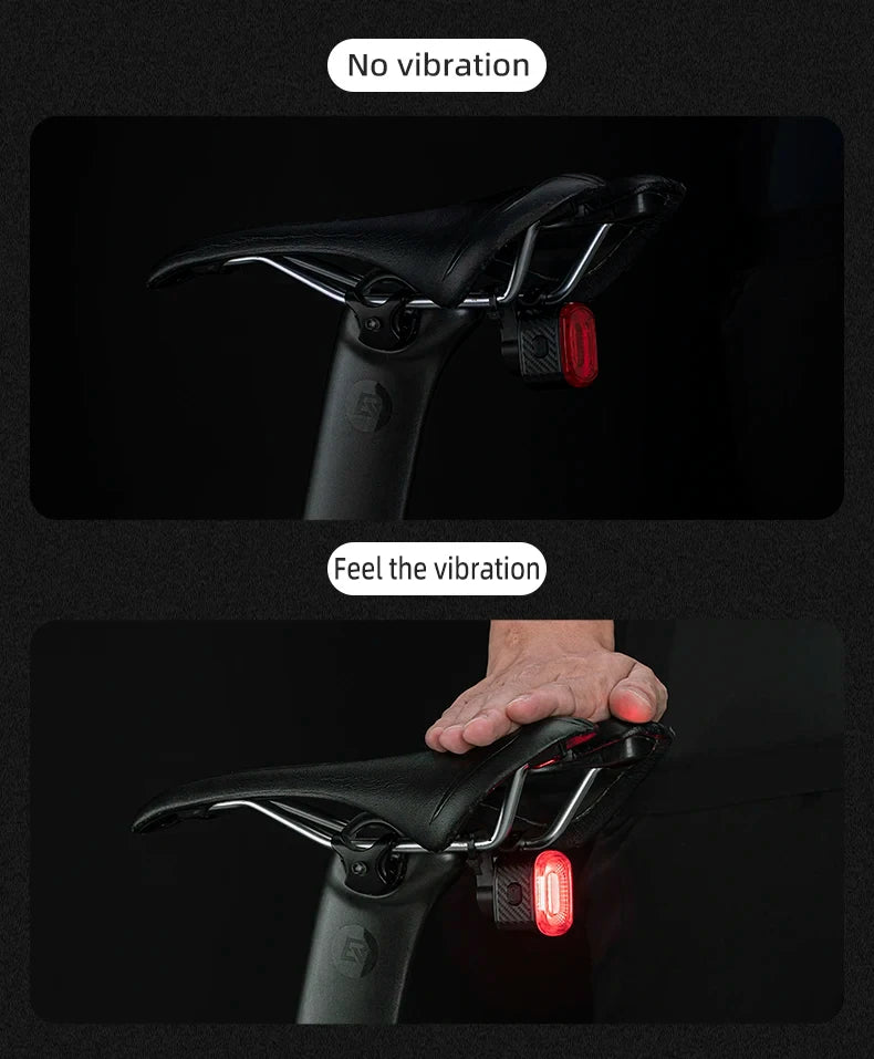 ROCKBROS Local Ship Bicycle Brake Light IPx6 Taillight Type-C Bike Tail Rear Light Auto LED Riding Warning Safe Cycling Light
