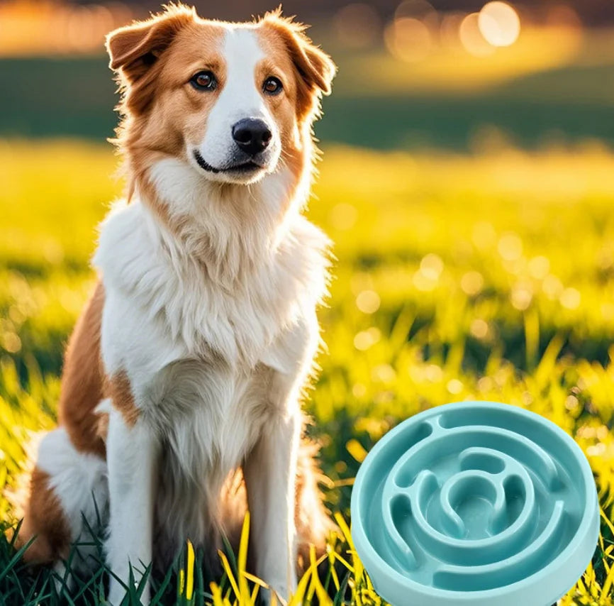 Slow Feeder Dog Bowl - Non-Slip Interactive Maze Bowl for Dogs & Cats, Prevents Bloat & Choking, Healthy Eating Design