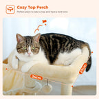 Cat Tree Cat Tower for Indoor Cats 2 Styles Cat Activity Tree with Cat Scratching Posts Big Hammock and Removable Top Perch Grey