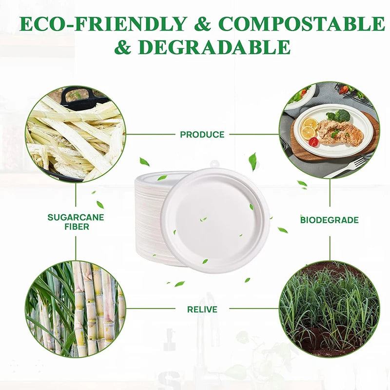 （out of stock）50-Pack 9-Inch Food-Grade Disposable Dinner Plates （out of stock）