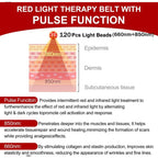 Red Light Therapy Device for Pain Relief Infrared Light Physiotherapy for Dogs Cats Pets Home Use Treatment