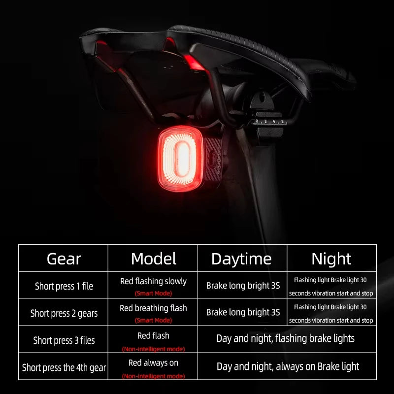ROCKBROS Local Ship Bicycle Brake Light IPx6 Taillight Type-C Bike Tail Rear Light Auto LED Riding Warning Safe Cycling Light