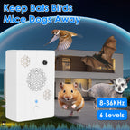 6165dd0e16bdb36fda89e0dfe22c6a4e